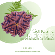 7 Mukhi Ganesha Rudraksha Size: 27.88 mm (With Lab Certificate)
