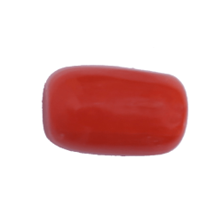 Red Coral 5.68CT (With Lab Certificate)