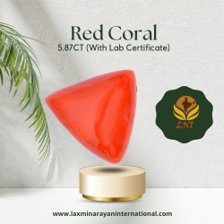 Red Coral 5.87CT (With Lab Certificate)