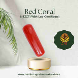 Red Coral 6.43CT (With Lab Certificate)