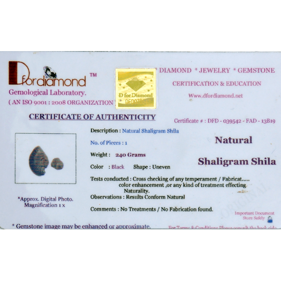 Shaligram Shila 240gms (With Lab Certificate)