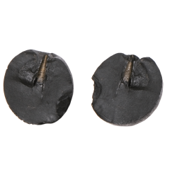 Shaligram shila 250gms