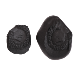 Shaligram shila 270gms