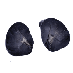 Shaligram shila 342gms