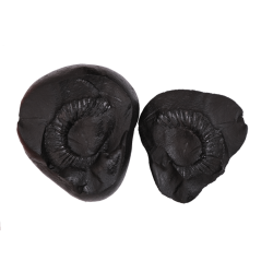 Shaligram shila 560gms