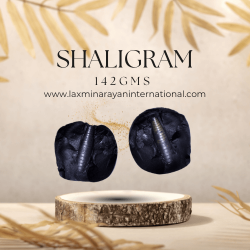 Shaligram Shila 142gms