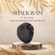 Shaligram Shila 170gms