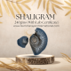 Shaligram Shila 240gms (With Lab Certificate)