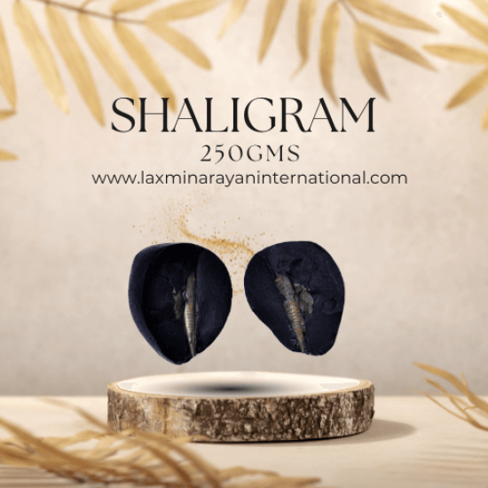 Shaligram shila 250gms