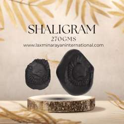 Shaligram shila 270gms