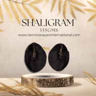 Shaligram shila 335gms