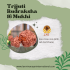 Trijuti Rudraksha 16 Mukhi Size 23.66 mm (Certified)