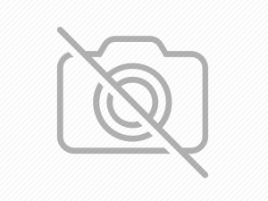 How to identify the genuine rudraksha